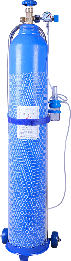 Medical Oxygen Cylinder Kit with Trolley