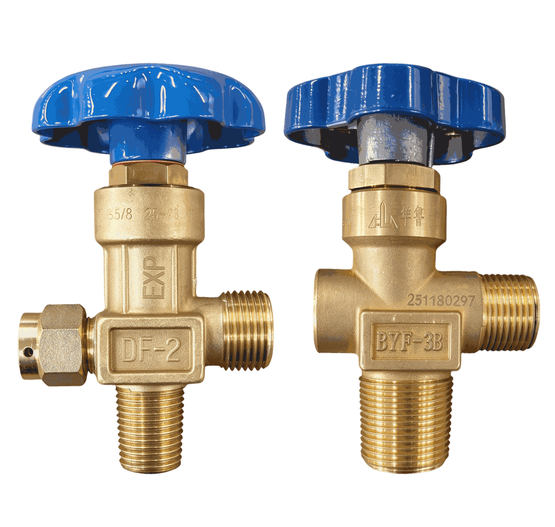 Oxygen Pressure Holding Valve