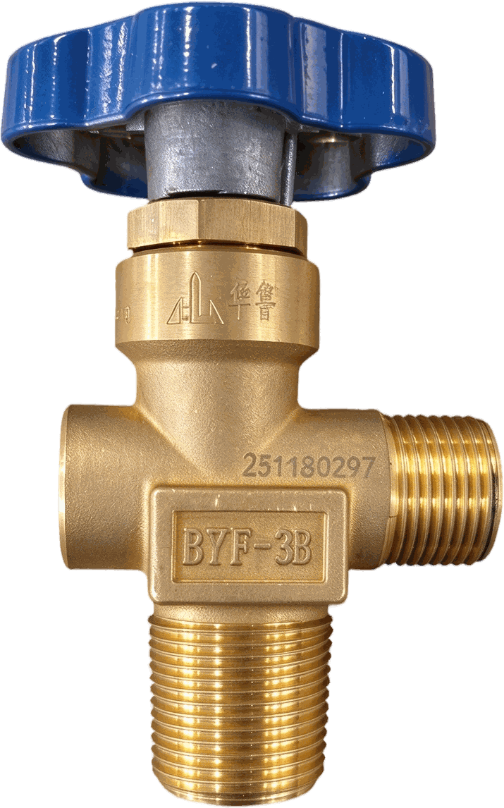 Oxygen Pressure Holding Valve