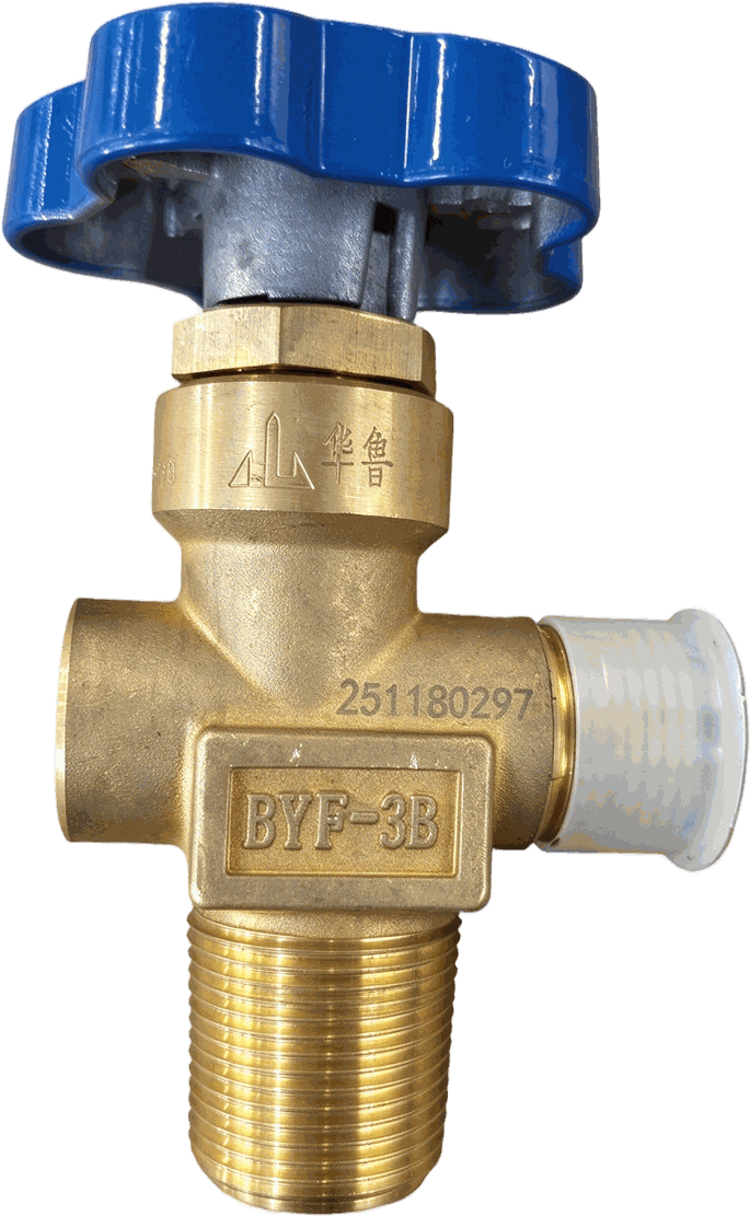 Oxygen Pressure Holding Valve
